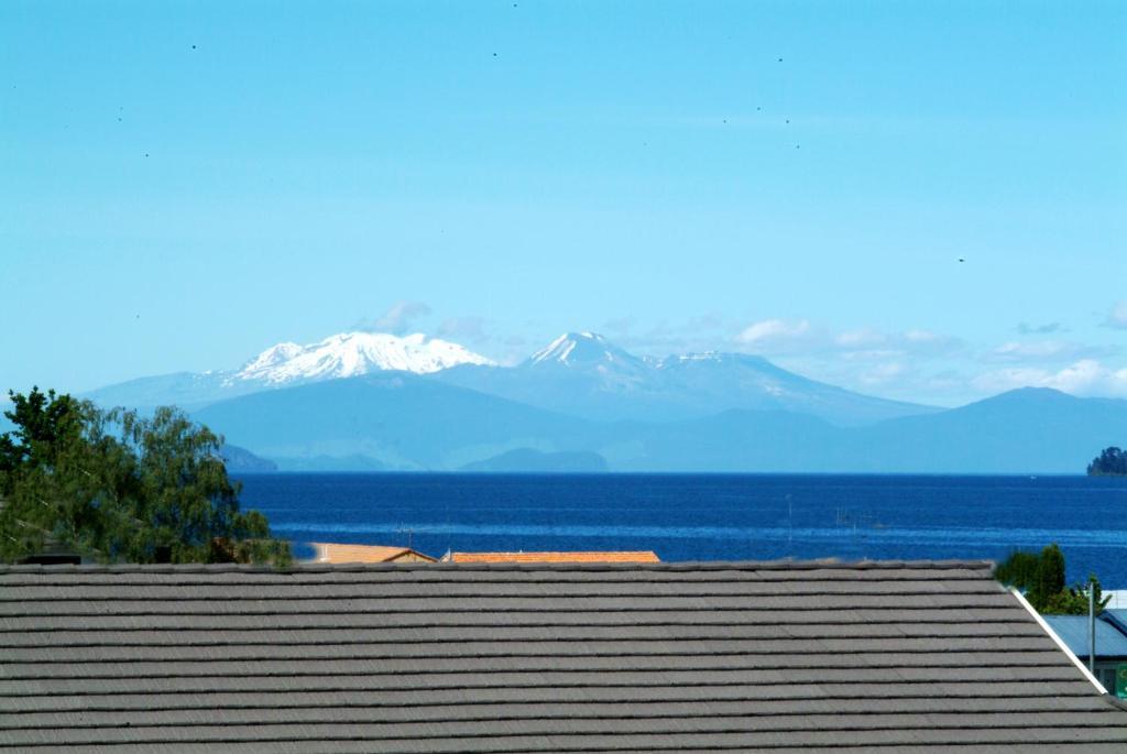 Tiki Lodge Backpackers Taupo Bilik gambar
